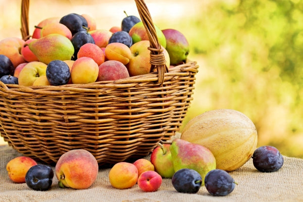 Fruits de saison : Quand profiter de quel fruit ?